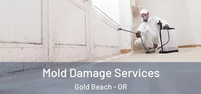  Mold Damage Services Gold Beach - OR