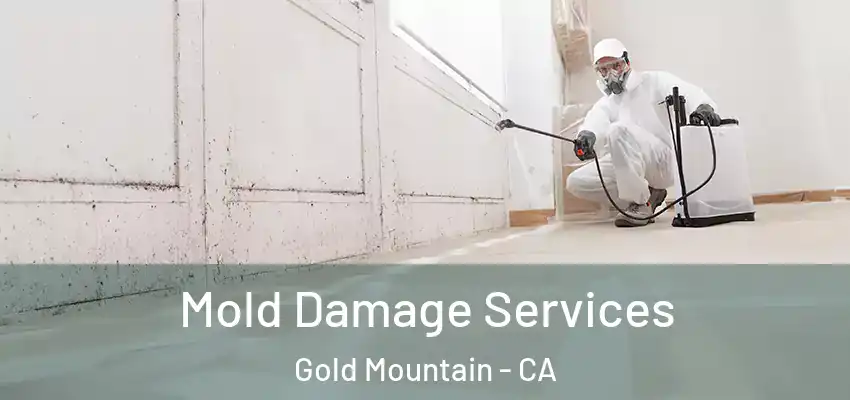  Mold Damage Services Gold Mountain - CA