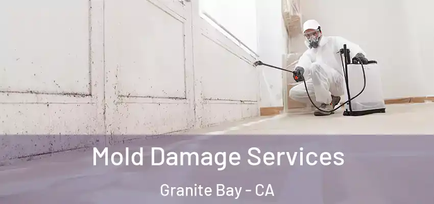  Mold Damage Services Granite Bay - CA