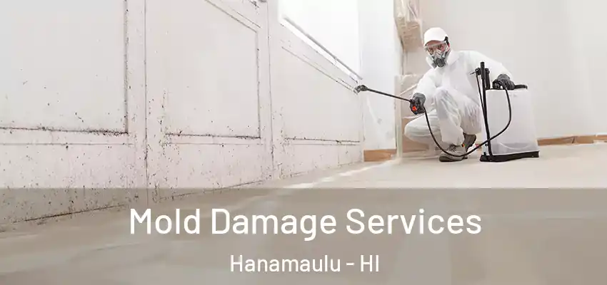 Mold Damage Services Hanamaulu - HI