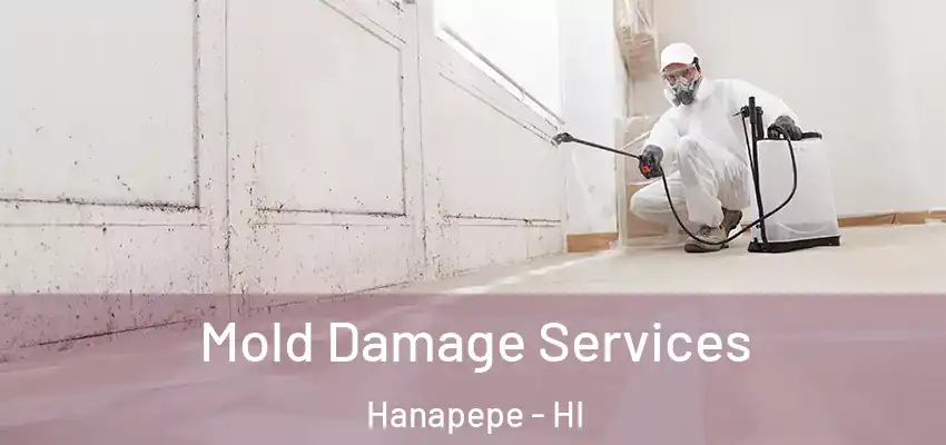  Mold Damage Services Hanapepe - HI