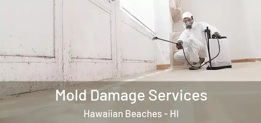  Mold Damage Services Hawaiian Beaches - HI