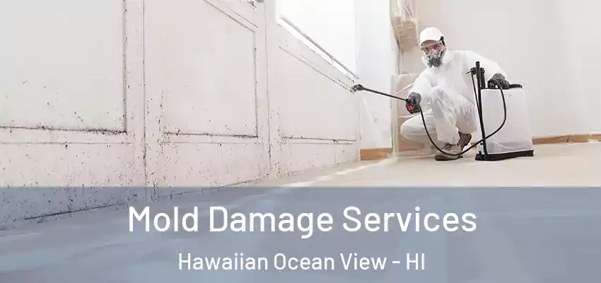  Mold Damage Services Hawaiian Ocean View - HI
