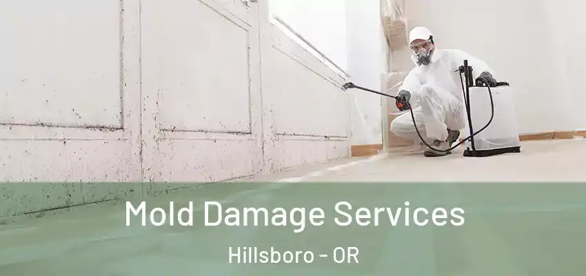  Mold Damage Services Hillsboro - OR