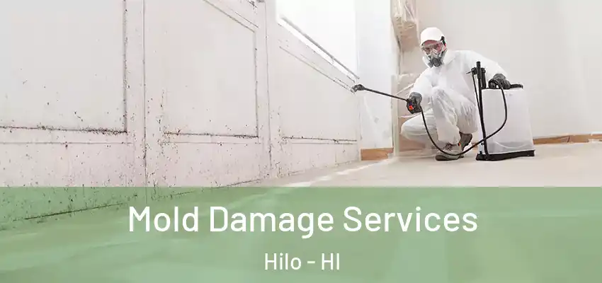  Mold Damage Services Hilo - HI