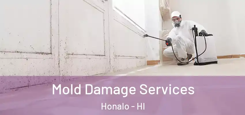  Mold Damage Services Honalo - HI
