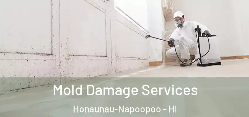 Mold Damage Services Honaunau-Napoopoo - HI