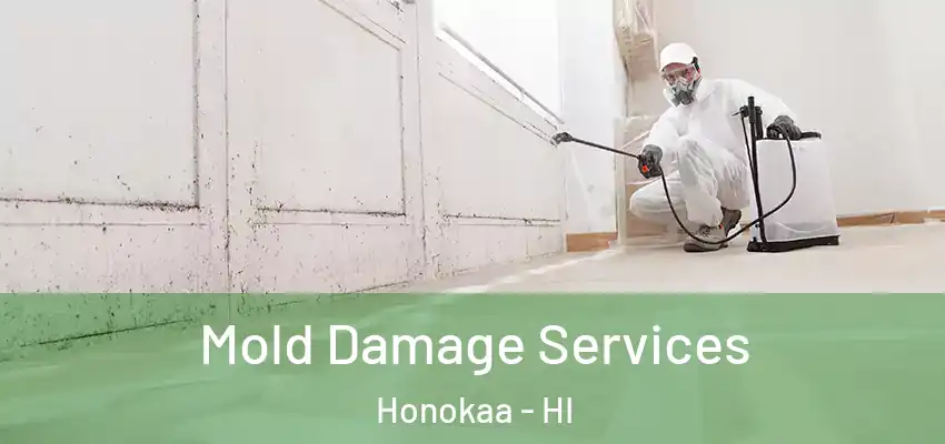 Mold Damage Services Honokaa - HI
