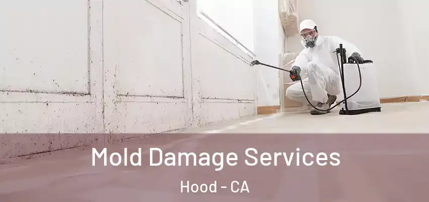  Mold Damage Services Hood - CA