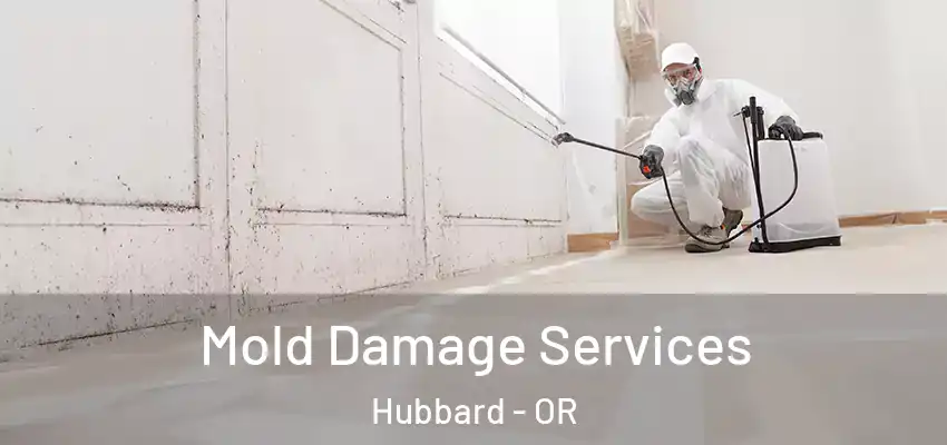  Mold Damage Services Hubbard - OR