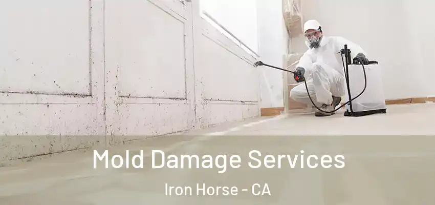  Mold Damage Services Iron Horse - CA