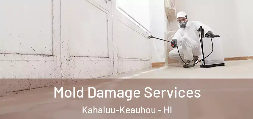  Mold Damage Services Kahaluu-Keauhou - HI