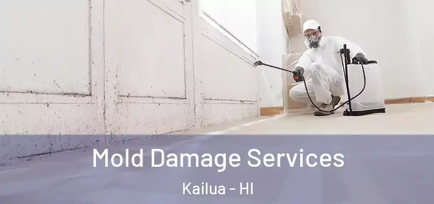  Mold Damage Services Kailua - HI