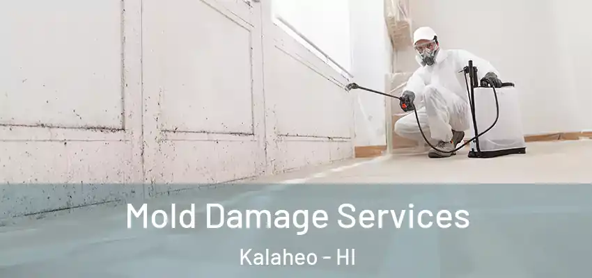  Mold Damage Services Kalaheo - HI