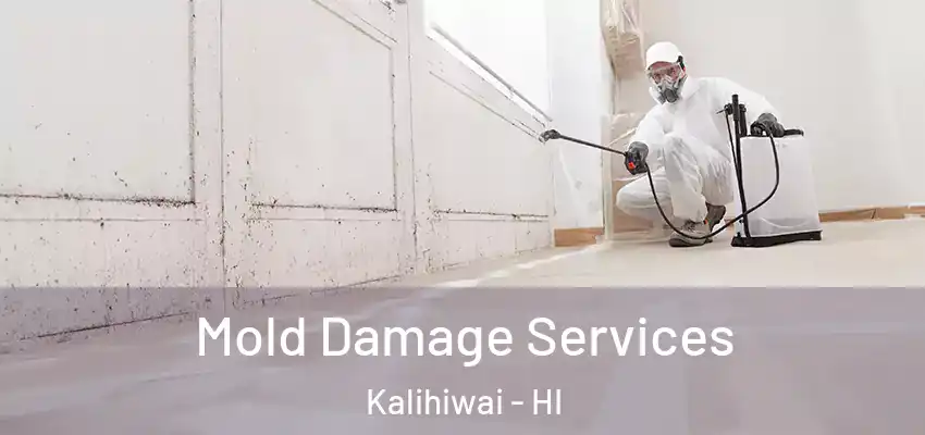 Mold Damage Services Kalihiwai - HI