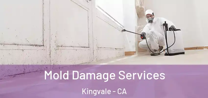  Mold Damage Services Kingvale - CA
