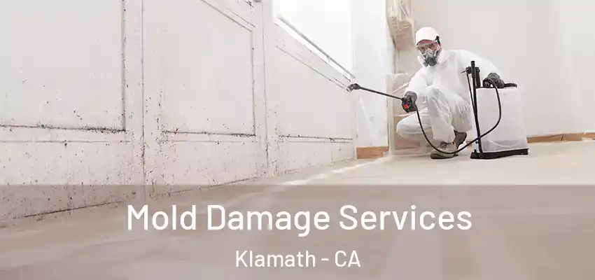  Mold Damage Services Klamath - CA