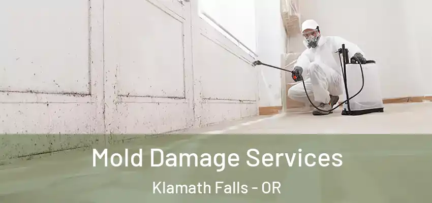  Mold Damage Services Klamath Falls - OR
