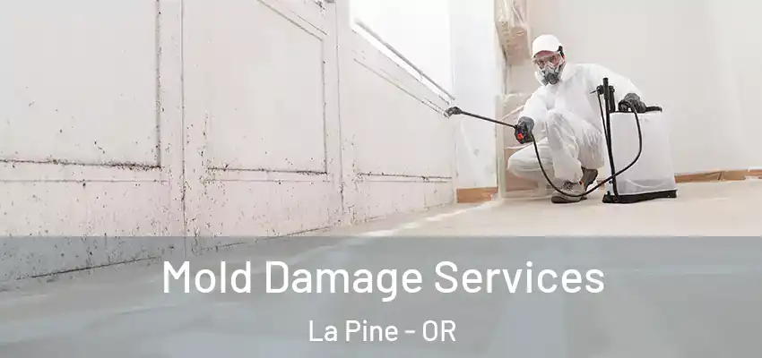  Mold Damage Services La Pine - OR