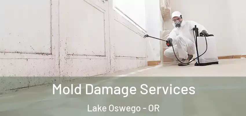  Mold Damage Services Lake Oswego - OR