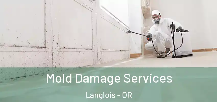  Mold Damage Services Langlois - OR