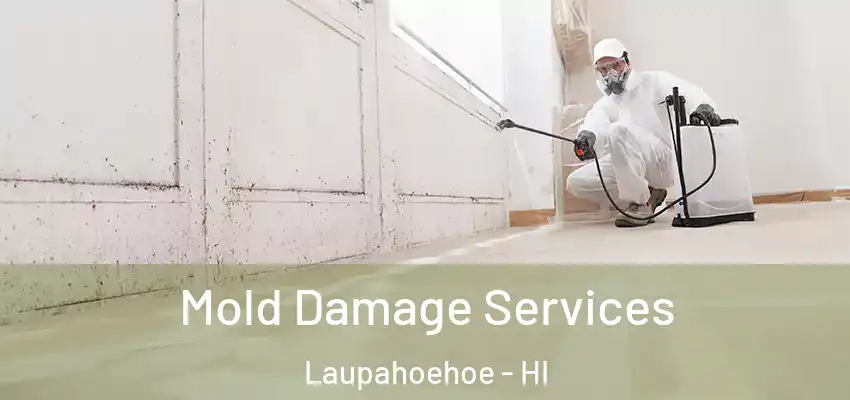 Mold Damage Services Laupahoehoe - HI