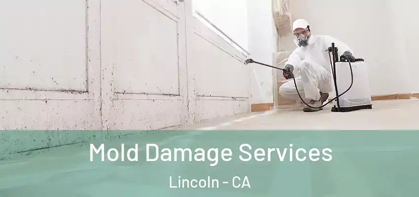  Mold Damage Services Lincoln - CA