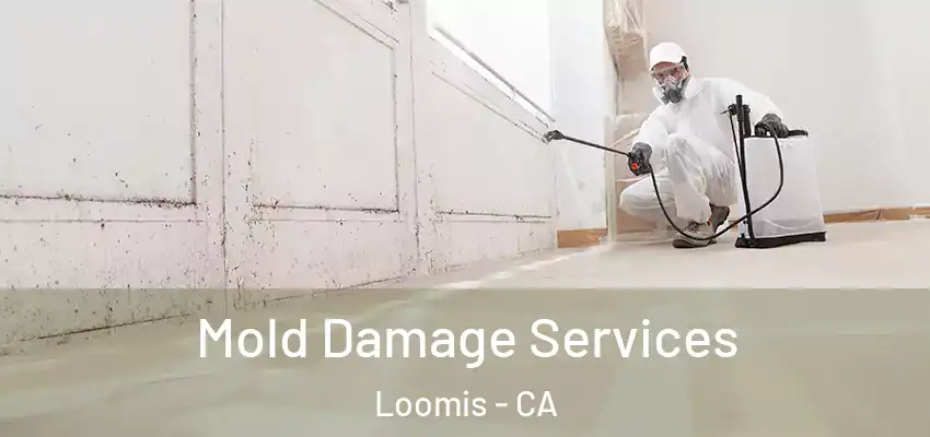  Mold Damage Services Loomis - CA