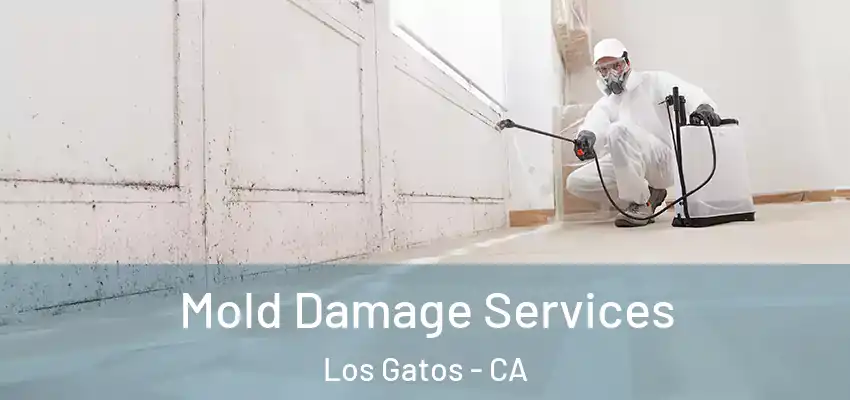  Mold Damage Services Los Gatos - CA