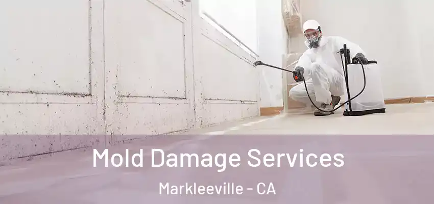  Mold Damage Services Markleeville - CA