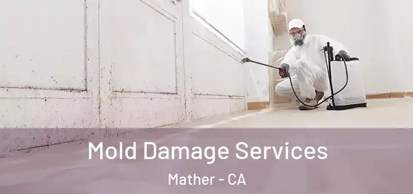  Mold Damage Services Mather - CA