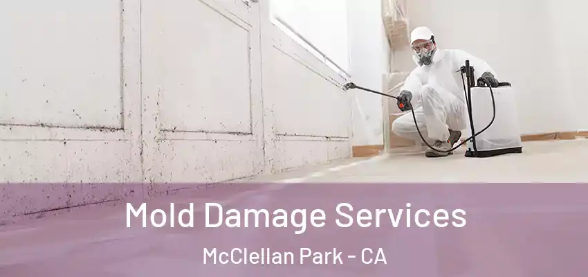  Mold Damage Services McClellan Park - CA