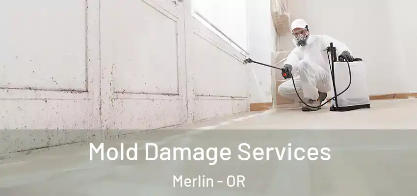  Mold Damage Services Merlin - OR