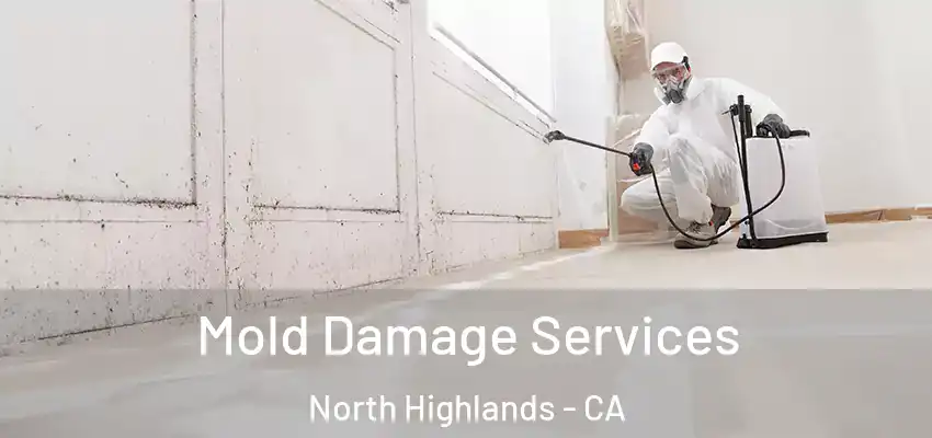  Mold Damage Services North Highlands - CA