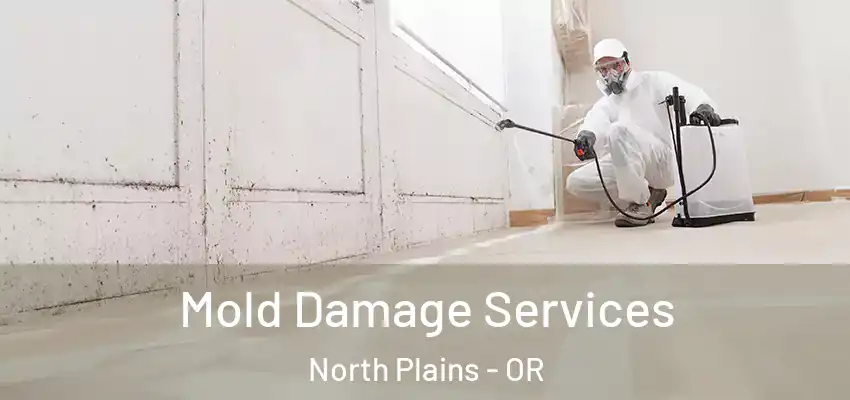  Mold Damage Services North Plains - OR