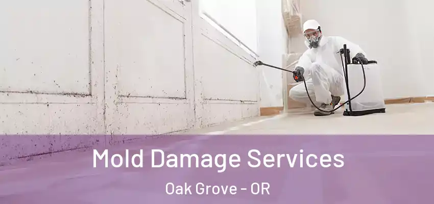  Mold Damage Services Oak Grove - OR