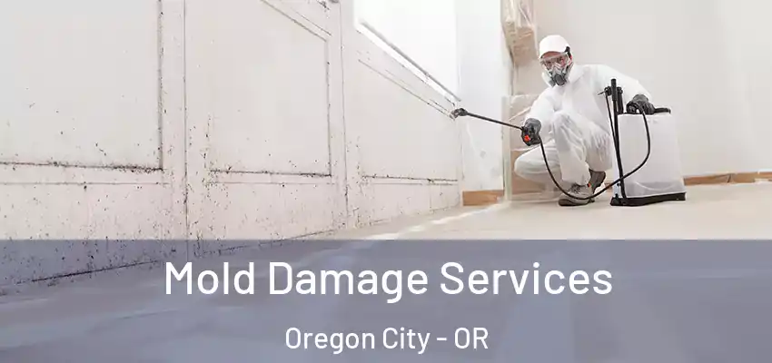 Mold Damage Services Oregon City - OR