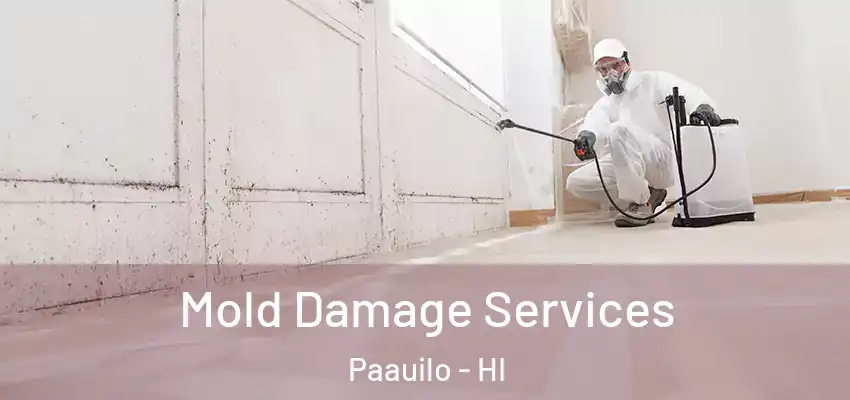  Mold Damage Services Paauilo - HI