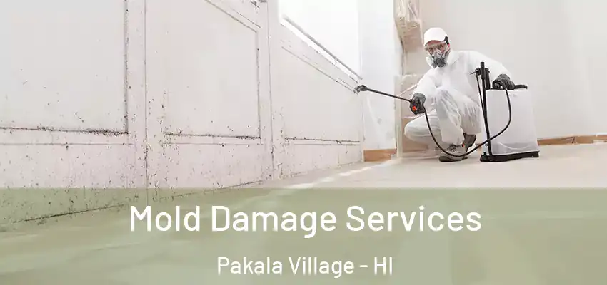  Mold Damage Services Pakala Village - HI