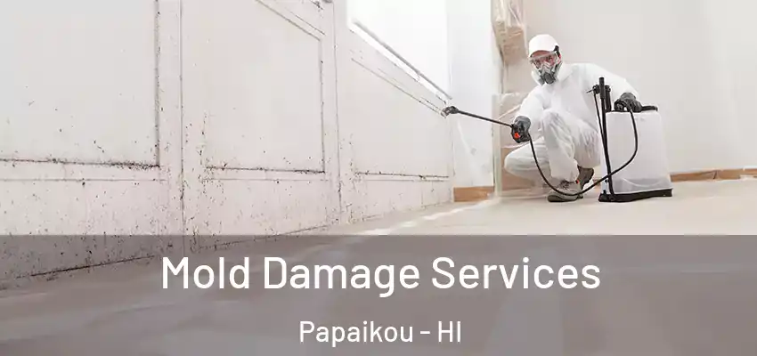  Mold Damage Services Papaikou - HI