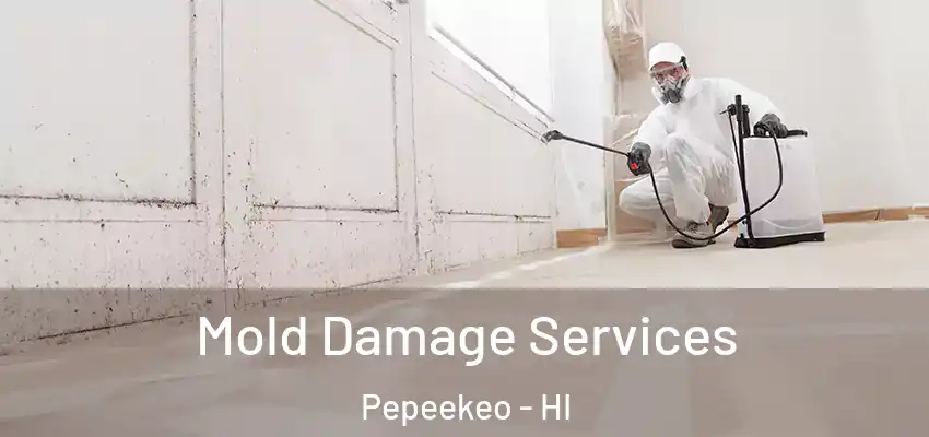  Mold Damage Services Pepeekeo - HI