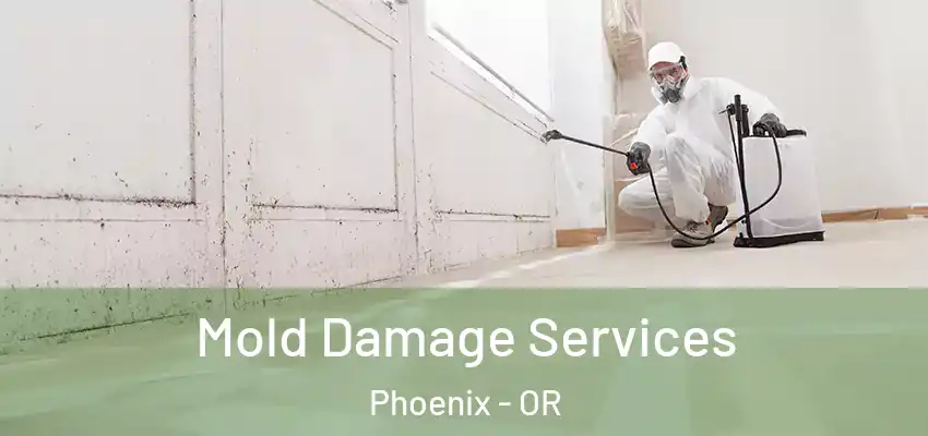  Mold Damage Services Phoenix - OR