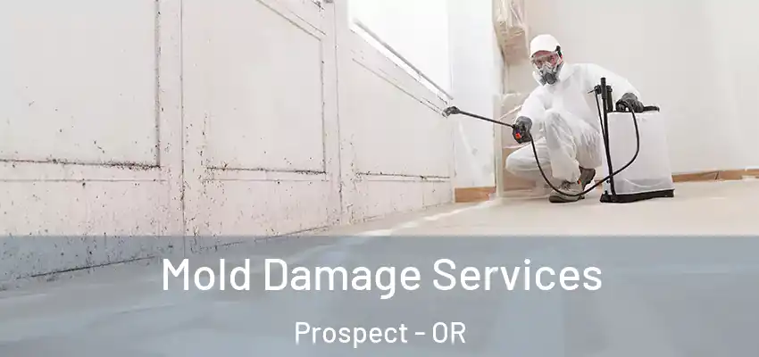  Mold Damage Services Prospect - OR