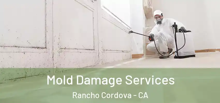  Mold Damage Services Rancho Cordova - CA