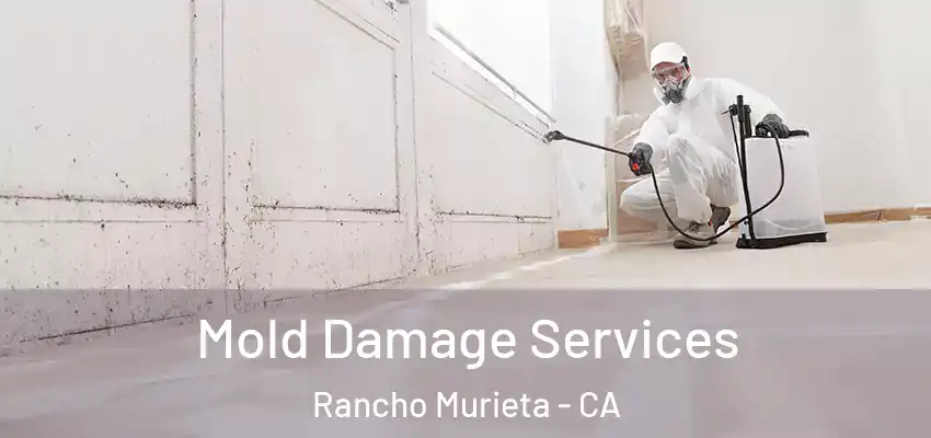  Mold Damage Services Rancho Murieta - CA