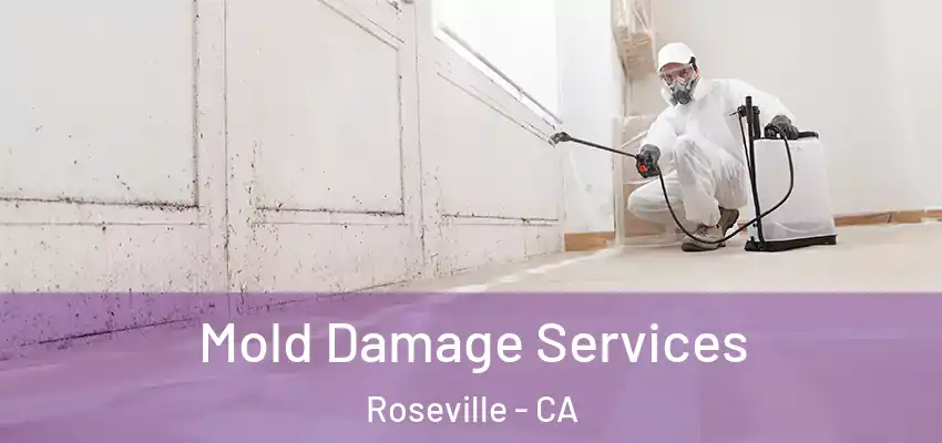  Mold Damage Services Roseville - CA