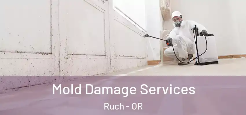  Mold Damage Services Ruch - OR