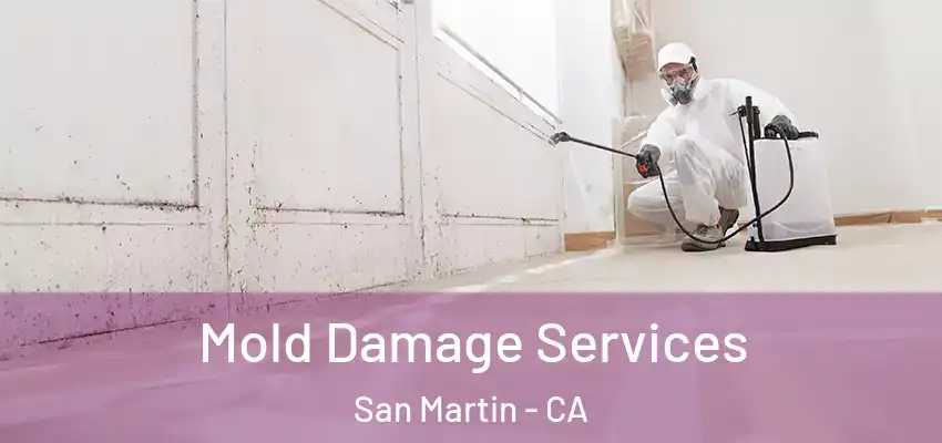  Mold Damage Services San Martin - CA