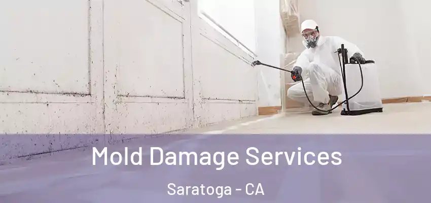  Mold Damage Services Saratoga - CA