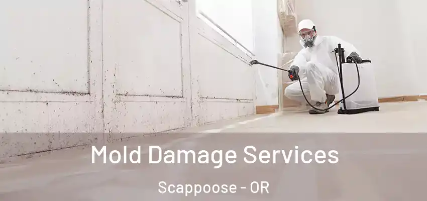  Mold Damage Services Scappoose - OR